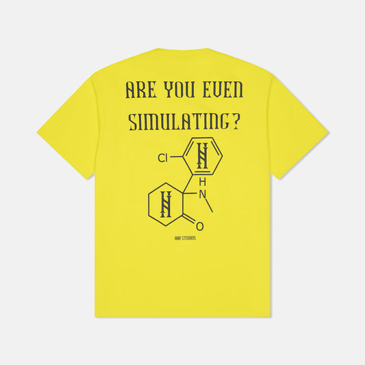 ARE YOU EVEN SIMULATING T-SHIRT
